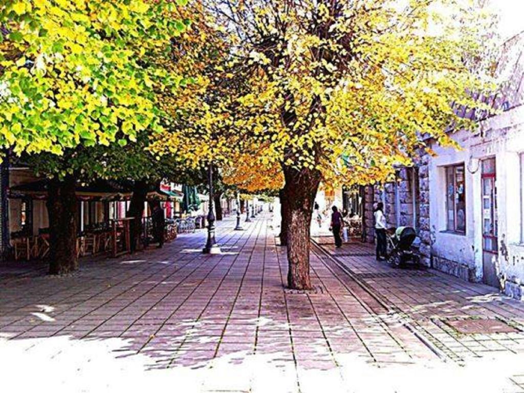 Our House Apartments Колашин Номер фото